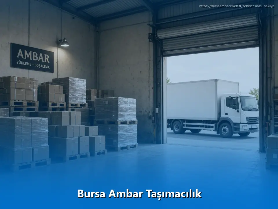 Bursa Ambar Taşımacılık