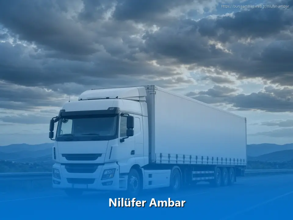 Nilüfer Ambar